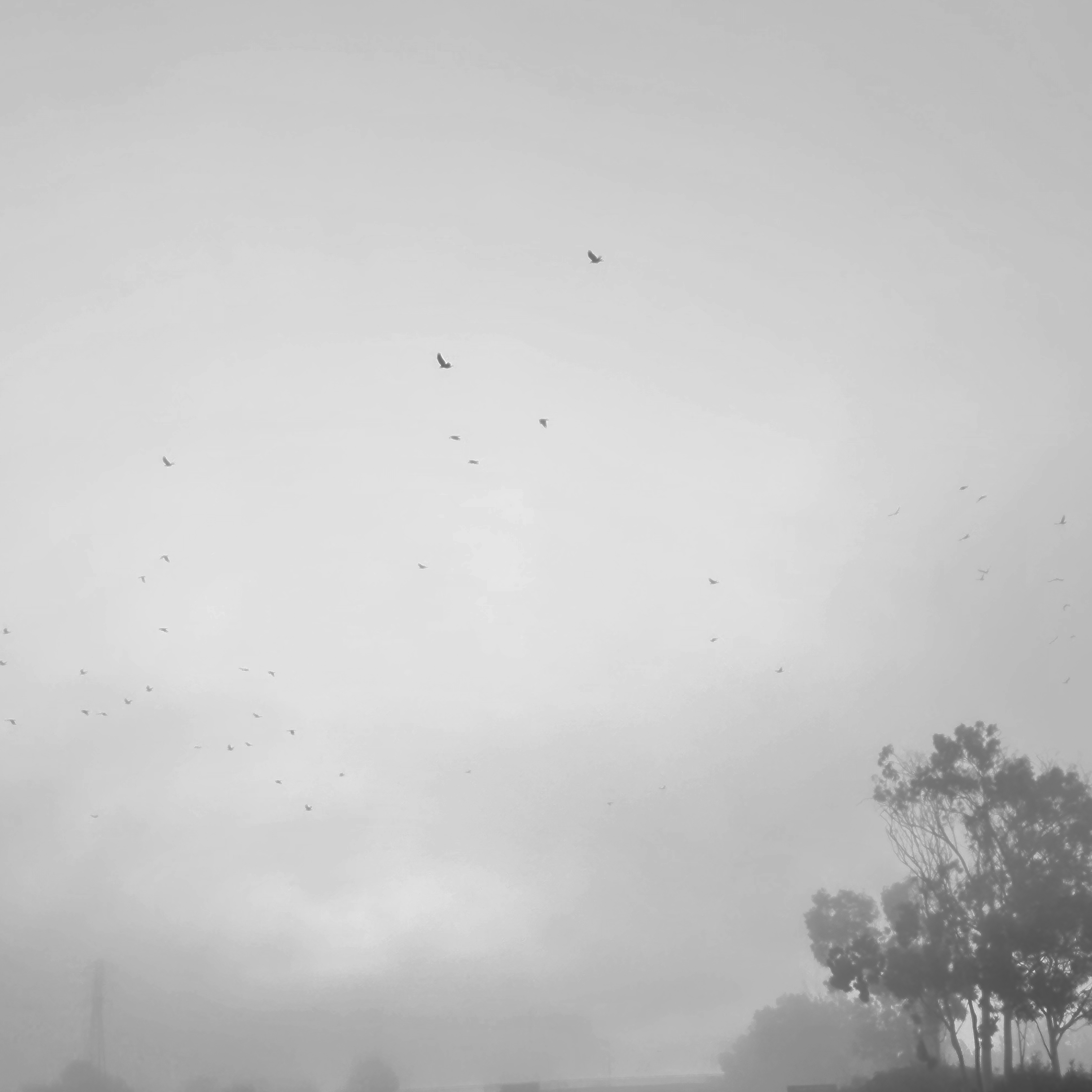 Post-rock album cover